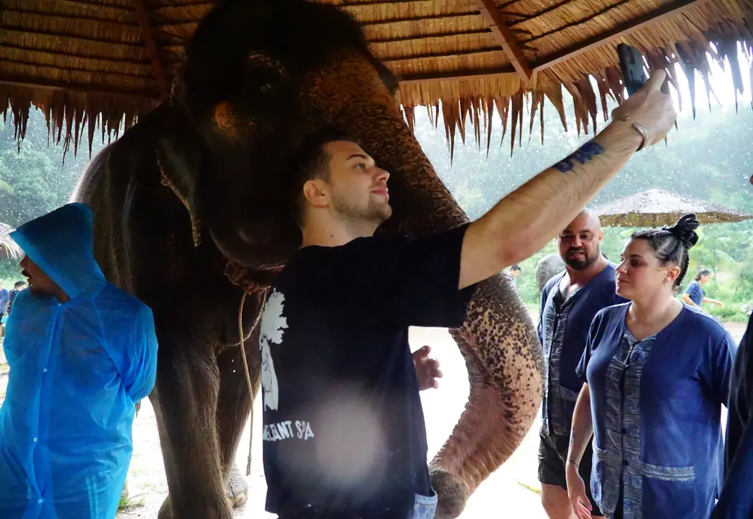 Rencontre avec un éléphant